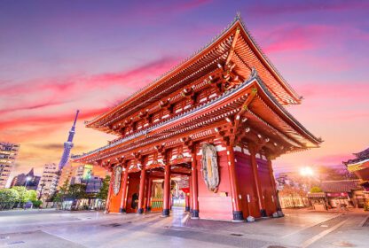 japanese cherry blossom