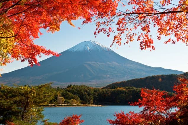 Japan Tour Package - Satguru Travel